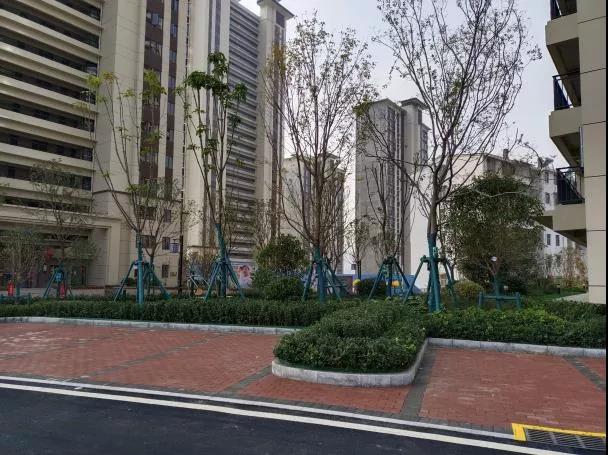 微信圖片_20220125162823.jpg